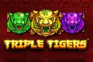 Triple Tigers™